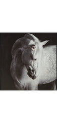 Archerwick Wall Art