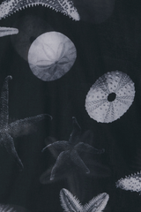 Black Seashell Mesh T Shirt