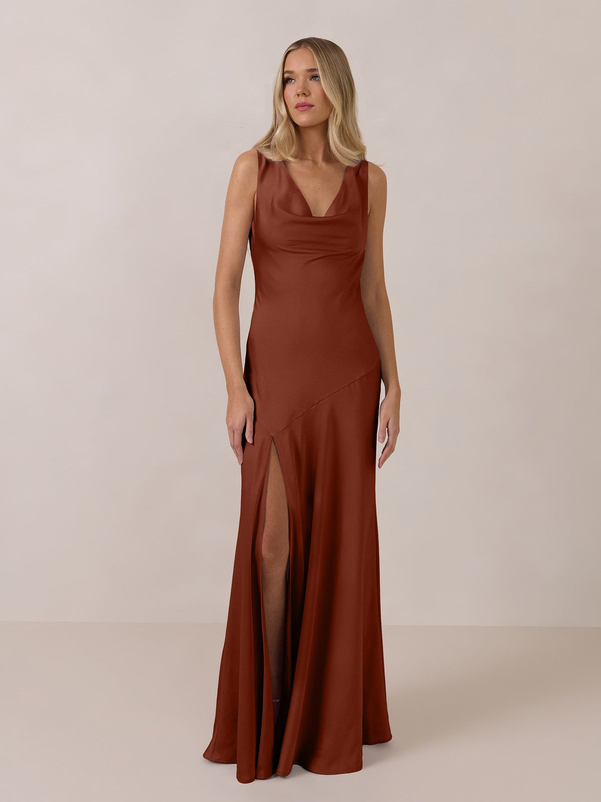 Elegant Dress