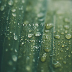 Linnea Candle, Rain